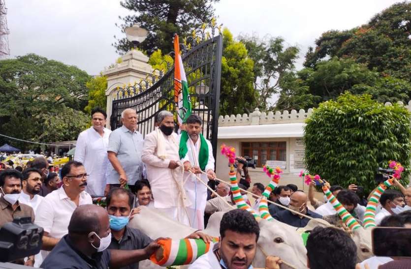 बैलगाड़ी में सवार होकर विधानसभा पहुंचे कांग्रेस नेता बैलगाड़ी में सवार होकर विधानसभा पहुंचे कांग्रेस नेता