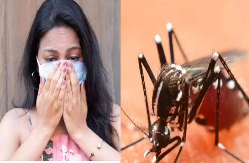 कोरोना की तरह डेंगू भी बदल रहा चरित्र कोरोना की तरह डेंगू भी बदल रहा चरित्र, विशेषज्ञ चकित