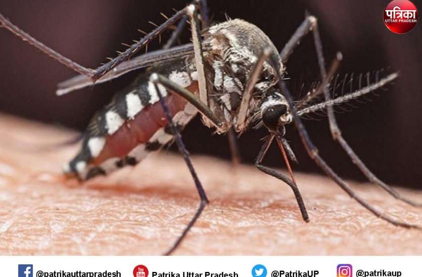 dengu_1.jpeg Viral Fever In UP: पहले कोरोना रोकने में हाफा स्वास्थ्य विभाग अब डेंगू हुआ हावी