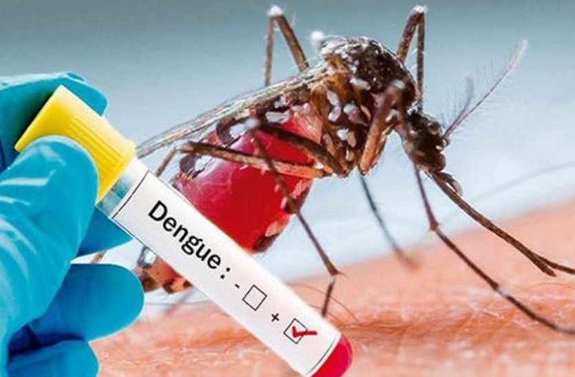 dengue Dengue spread : कोरोना के साथ डेंगू ने भी पसारे पैर, एक दिन में 9 मरीज पॉजीटिव