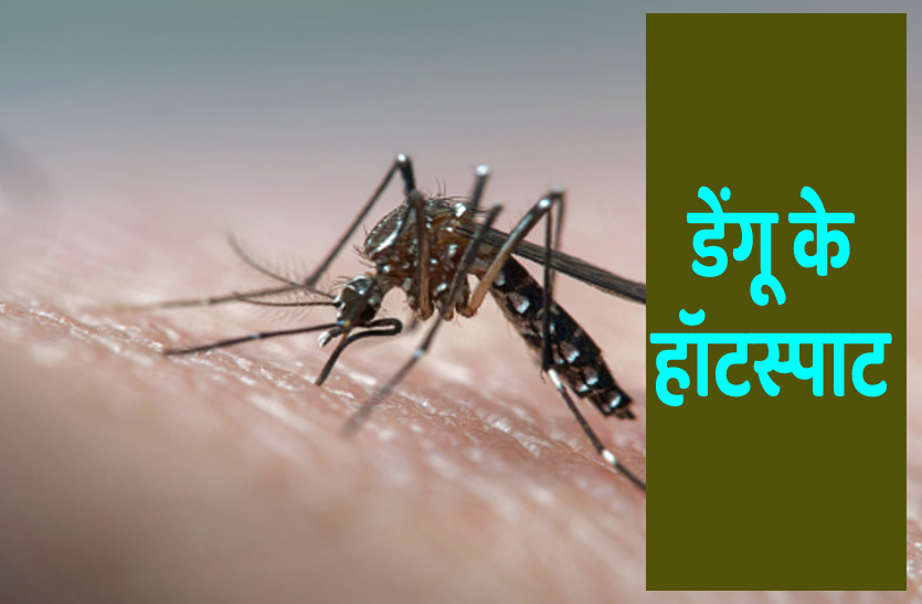 Dengue Hot Spot Dengue Cases In Meerut डेंगू को लेकर सख्ती: एक ही घर में 2 बार मिला लार्वा तो भरना होगा 5000 का जुर्माना, तीसरी बार पर FIR
