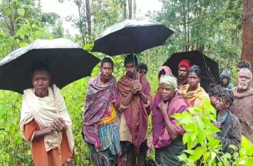 pahari_korwa.jpg पहाड़ी कोरवा किशोरी की कुपोषण से मौत, 3 और बीमार, इन्हें राष्ट्रपति के दत्तक पुत्र का मिला है दर्जा