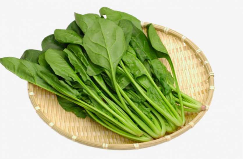 Iron Rich Foods: आयरन की कमी को दूर करने के लिए डाइट में शामिल करें इन फूड्स को