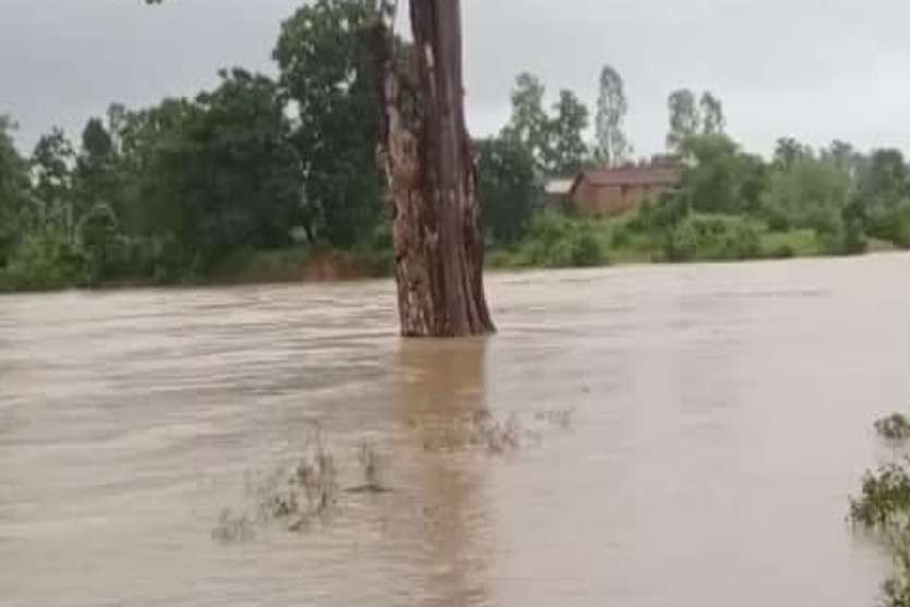 Danger Of Flood In Anuppur Youth Shed Anuppur Flood