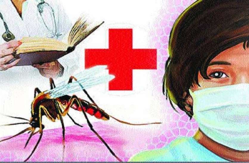 डेंगू का कहर जबलपुर में जानलेवा बना डेंगू, 4 दिन में दूसरी मौत, मचा हड़कंप