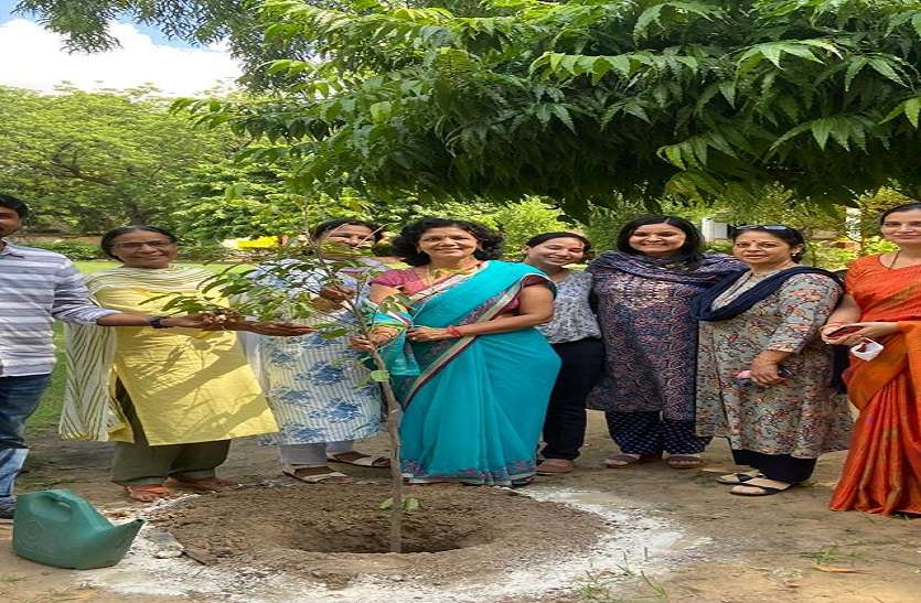 महारानी कॉलेज के छात्रावास में लगाए फलदार पौधे महारानी कॉलेज के छात्रावास में लगाए फलदार पौधे