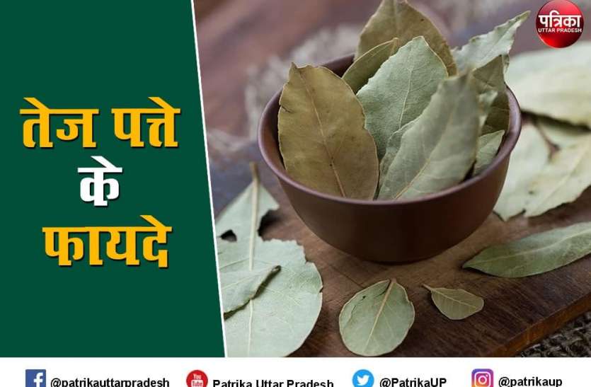 गुणों से भरपूर है ये तेज़ पत्ता गुणों से भरपूर है ये तेज़ पत्ता