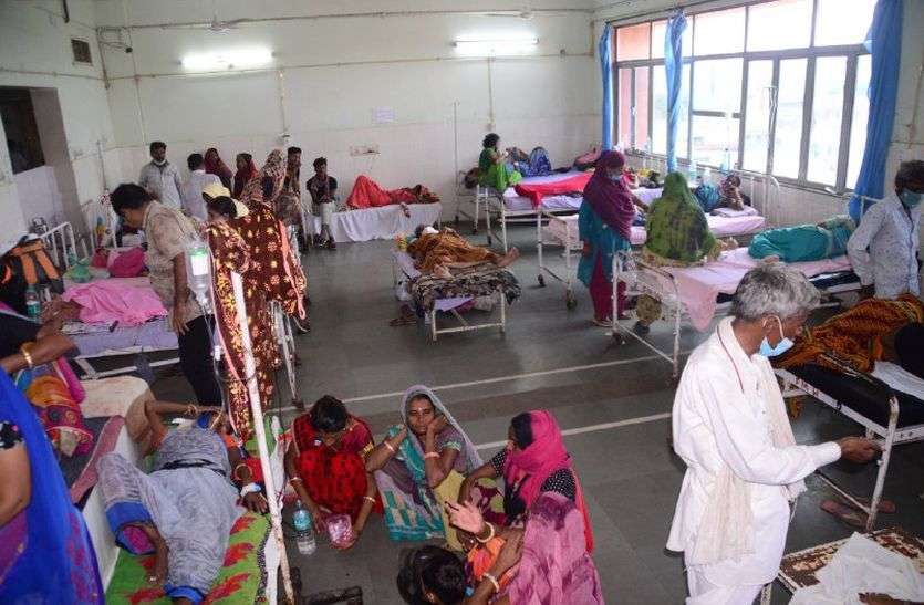 Dang's sting, Jhalawar's medical systems battered डेंग का डंक, झालावाड़ की चिकित्सा व्यवस्थाएं पस्त