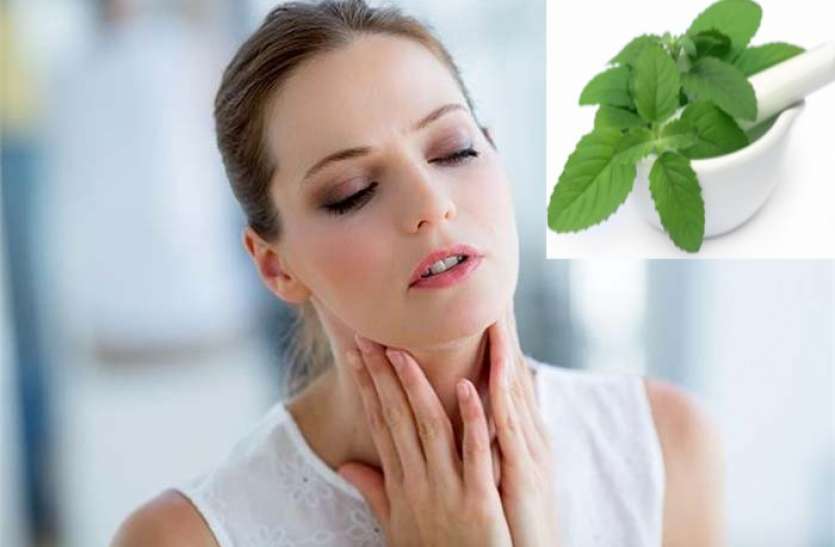 health news Health Tips: गले की खराश में आराम देगा तुलसी का पानी