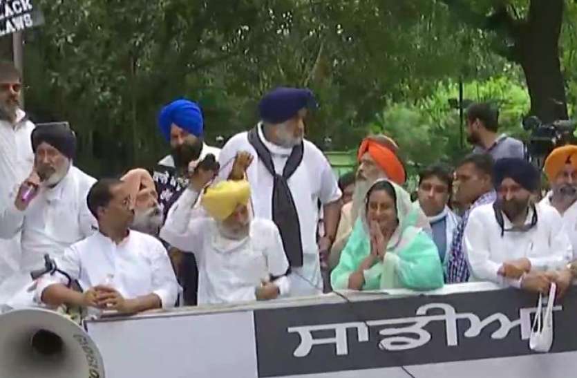 Akali Dal Protest Akali Dal Protest: प्रदर्शन कर रहे सुखबीर सिंह बादल, हरसिमरत कौर समेत हिरासत में 11 नेता, कांग्रेस-बीजेपी पर साधा निशाना