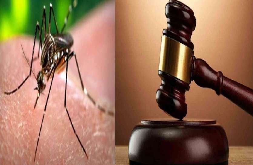 डेंगू के कहर पर हाईकोर्ट ने सरकार से मांगी कार्ययोजना डेंगू के कहर पर High Court सख्त, सरकार से किया ये बड़ा सवाल