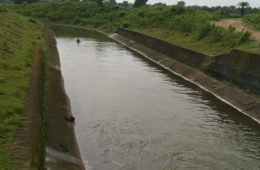 dudhawa_canal.jpg चार दशक बाद भी दुधावा कैनाल से 2223 हेक्टेयर में सिंचाई के लिए नहीं मिला पानी