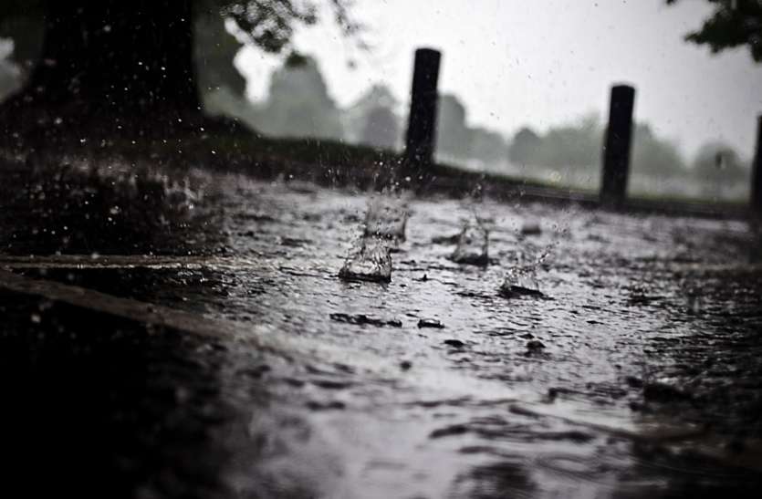 haryana_weather_news_rain.jpg Haryana Weather News Updates Forecast Today : मौसम विभाग की चेतावनी, अगले दो से तीन दिन तक होगी तेज वर्षा