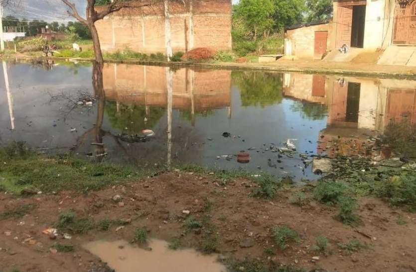 डेंगू का एक और मरीज मिला, कई घरो में मिला लार्वा डेंगू का एक और मरीज मिला, कई घरो में मिला लार्वा