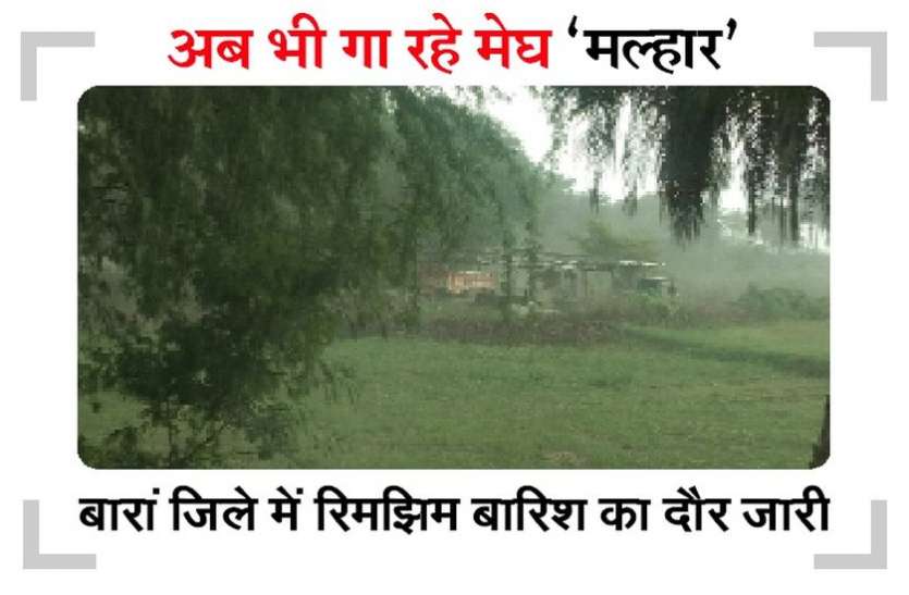 बारां जिले मे फिर बरसी मेहर, मौसम में घुली ठंडक बारां जिले में फिर बरसी मेहर, मौसम में घुली ठंडक