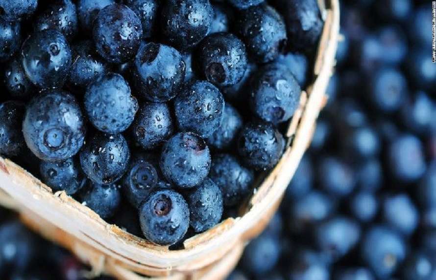 Antioxidants Rich Food: एंटीऑक्सीडेंट्स से भरपूर इन फूड्स को आपको अपनी डाइट में जरूर शामिल करना चाहिए