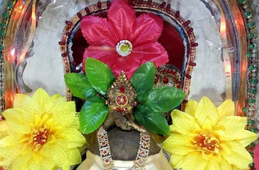 ekakshi ganesh श्रीफल में दिए गणेशजी ने दर्शन, स्थापना के आज 36 वर्ष होंगे पूरे
