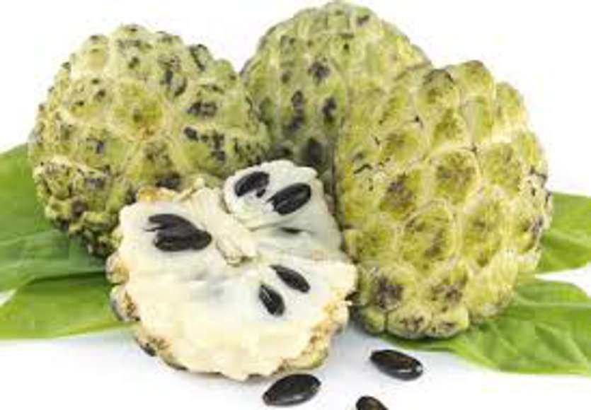 Sitaphal fruit