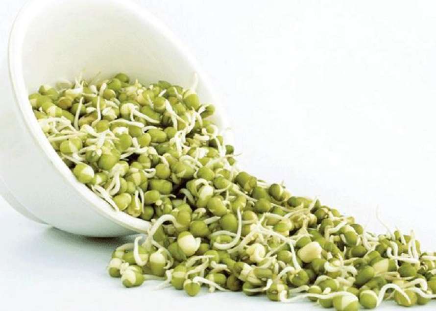 Antioxidants Rich Food: एंटीऑक्सीडेंट्स से भरपूर इन फूड्स को आपको अपनी डाइट में जरूर शामिल करना चाहिए