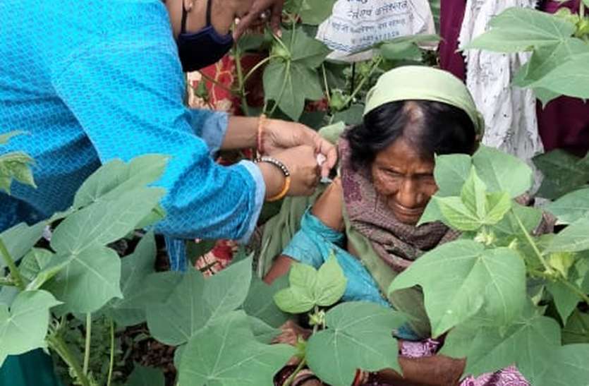 VIDEO अब वैक्सीनेटर संभाल रही फलियों में वैक्सीन का जिम्मा, 48 टीमें लगाई गई VIDEO अब वैक्सीनेटर संभाल रही फलियों में वैक्सीन का जिम्मा, 48 टीमें लगाई गई