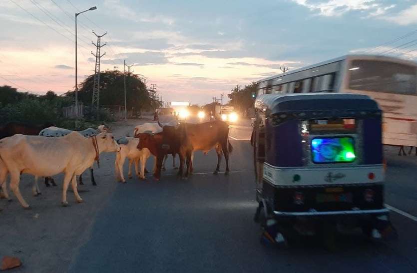 6 km road of NH that has killed more than a dozen in 7 years 7 सालों में एक दर्जन से अधिक की जान ले चुकी 6 किमी की सड़क