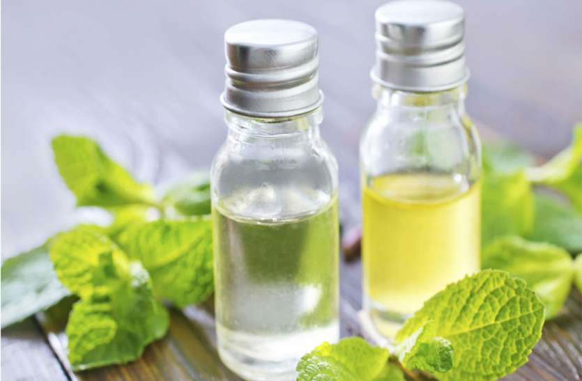 mentha_oil_rate_today1.jpg Mentha Oil Rate Mentha Oil Price : एक हफ्ते से रोजाना गिर रहे मेंथा ऑयल के दाम, जानें- सितंबर में Mint Oil Price
