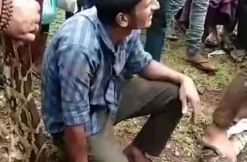 गांव में निकला 6 फीट लंबा अजगर, सेल्फी लेने उमड़े कई ग्रामीण गांव में निकला 6 फीट लंबा अजगर, सेल्फी लेने उमड़े कई ग्रामीण