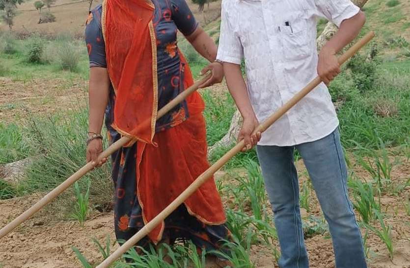 बारिश के बाद खिले चेहरे, चले हल बारिश के बाद खिले चेहरे, चले हल