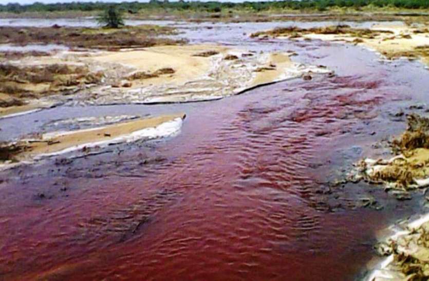लूनी नदी में कितना प्रदूषण अब चलेगा पता, जानिए कैसे लूनी नदी में कितना प्रदूषण अब चलेगा पता, जानिए कैसे