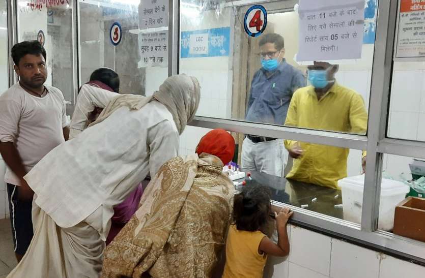 करौली: वायरल बुखार के बीच डेंगू बुखार भी पसार रहा पैर करौली: वायरल बुखार के बीच डेंगू बुखार भी पसार रहा पैर