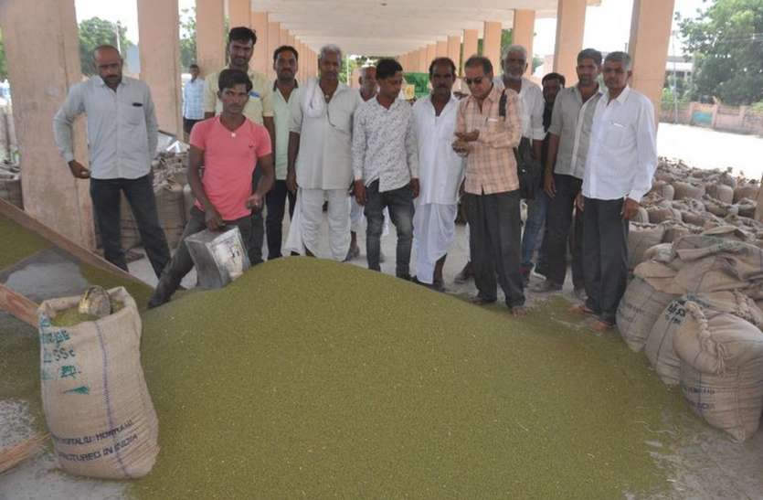 Agriculture market business did not derail even in Kovid-19 transition कोविड-19 संक्रमण में भी कृषि मंडी का कारोबार पटरी से नहीं उतरा