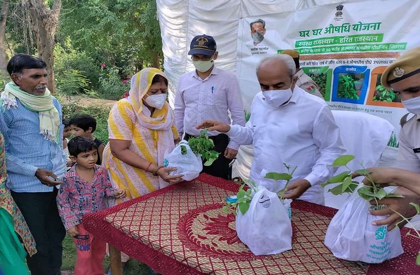 स्थानीय प्रजातियों के अनुरूप पौधरोपण को दिया जाए बढ़ावा: विश्नोई