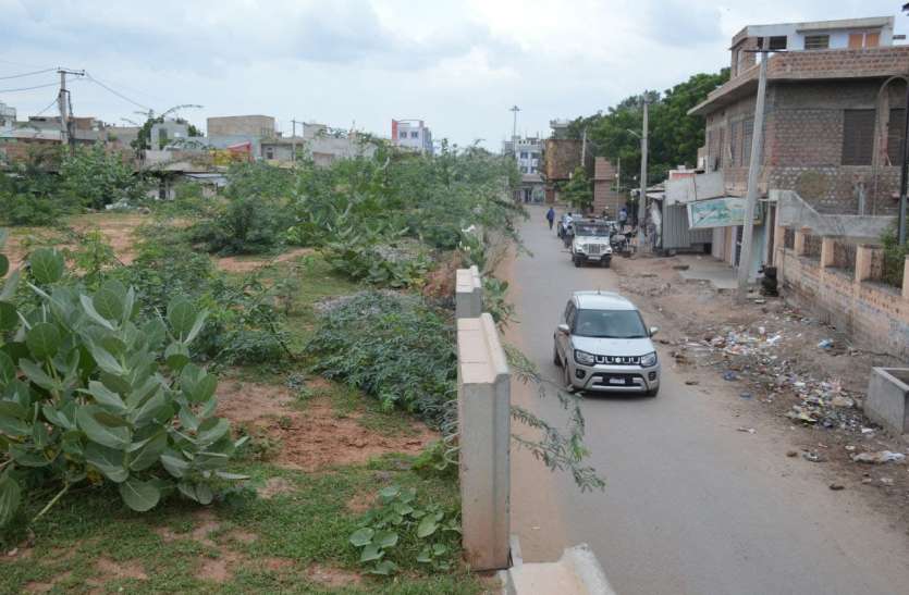 nagaur : अधूरे आरओबी पर उगे आकड़े व अंग्रेजी बबूल नए एग्रीमेंट पर भी खरा नहीं उतरा ठेकेदार, अधूरे आरओबी पर उगे आकड़े व अंग्रेजी बबूल