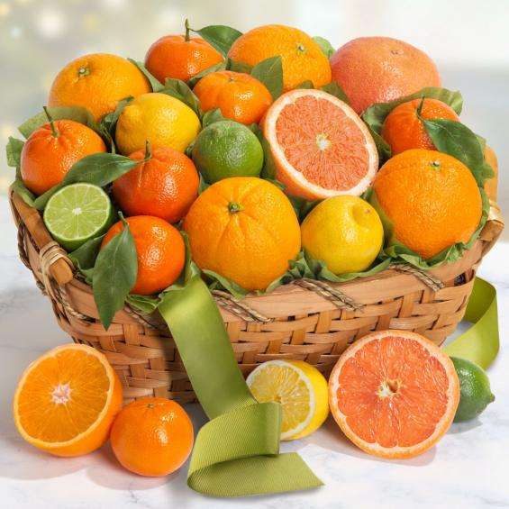 citrus.jpg