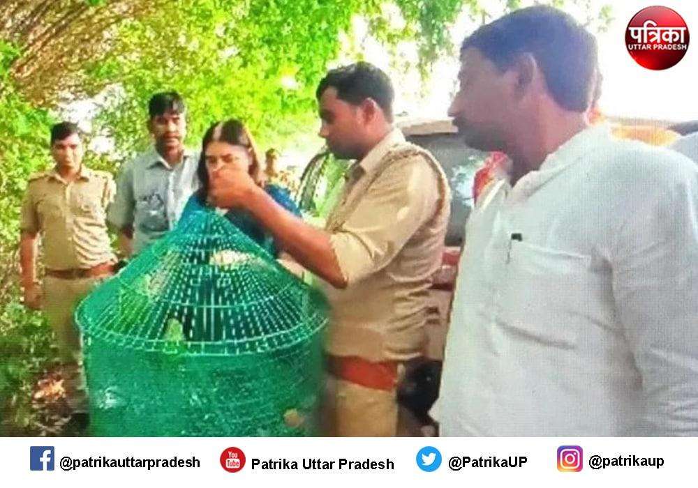 अचानक दुकानदार पर पड़ी मेनका गांधी की नजर, कार से उतर कर गुस्से में कहा... छोड़ दो इसे नहीं तो