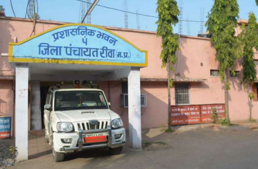 patrika फसलों को बचाने बेजुबानों से दरिंदगी, आए दिन सामने आ रही घटनाएं