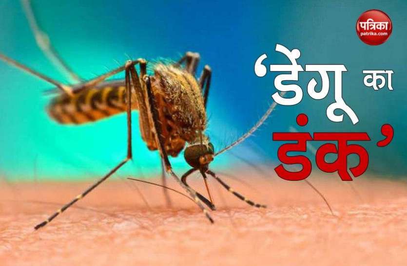 शहर में डेंगू से महामारी जैसी स्थिति, 28 स्पॉट से इस बार भी फैली बीमारी
