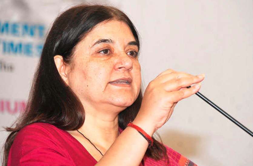 Maneka Gandhi मेनका गांधी ने किया बाढ़ प्रभावित क्षेत्र का दौरा, नौका में सवार होकर देखा बाढ़ का नजारा