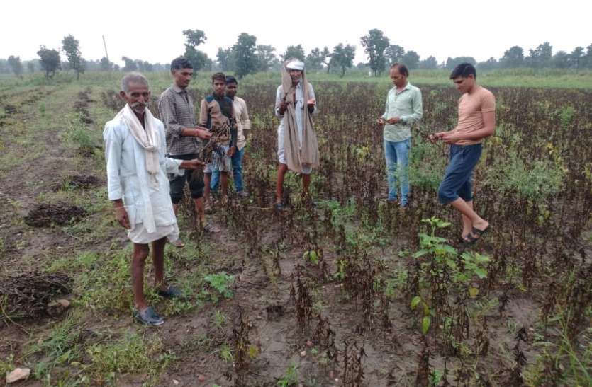 कहीं अतिवृष्टि से खराब हो गई फसलें, कहीं खाली भी रह गए जल स्त्रोत कहीं अतिवृष्टि से खराब हो गई फसलें, कहीं खाली भी रह गए जल स्त्रोत