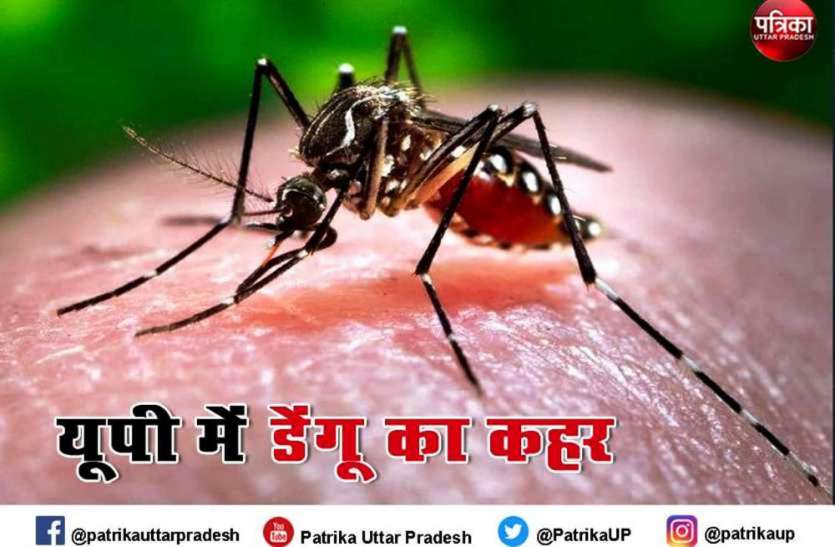 Internet Pic ब्रज में डेंगू के डंक ने ली 5 और की जान, लगातार बढ़ रहे मामलों ने बढ़ाई लोगों की चिंता