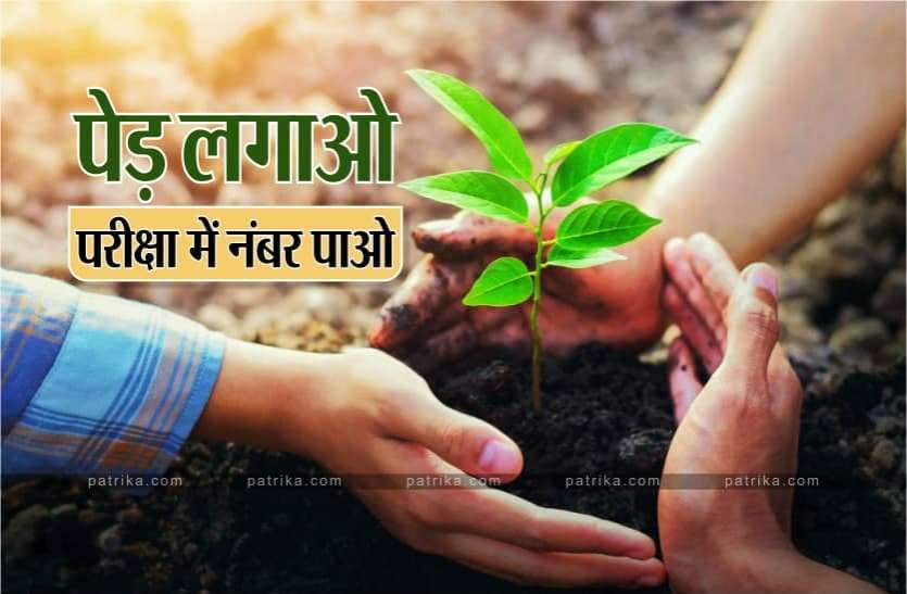 News कॉलेज छात्रों के लिये अच्छी खबर : अब पेड़ लगाने पर मिलेंगे परीक्षा में नंबर