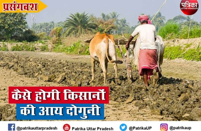 Opinion : बिना सही नीति के नहीं होगी किसानों की आय दोगुनी Opinion : बिना सही नीति के नहीं होगी किसानों की आय दोगुनी
