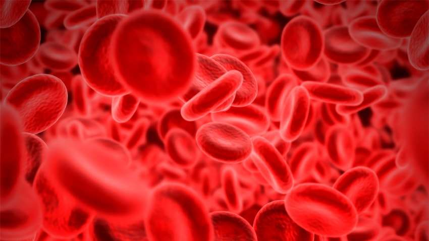 blood.jpg