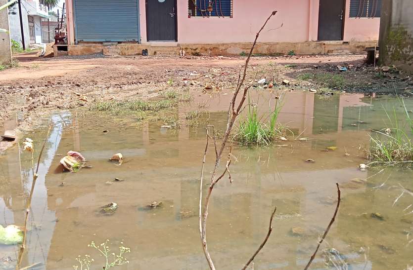 पत्रिका अलर्ट : डेंगू के प्रकोप से बचना है तो विशेष सफाई अभियान और जागरुकता जरूरी पत्रिका अलर्ट : डेंगू के प्रकोप से बचना है तो विशेष सफाई अभियान और जागरुकता जरूरी