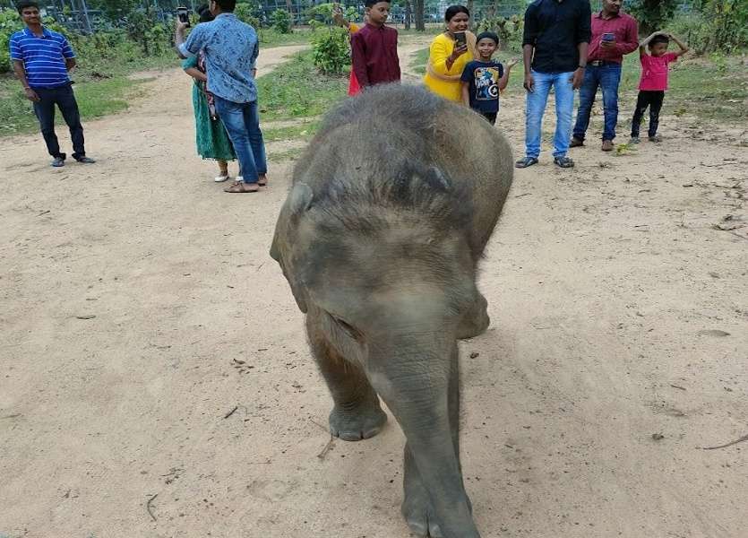 Reva and Laxman death