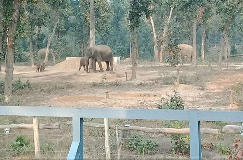 Kumki