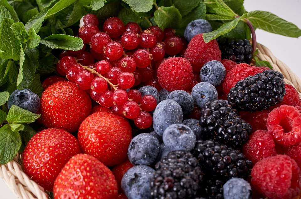 berries.jpg