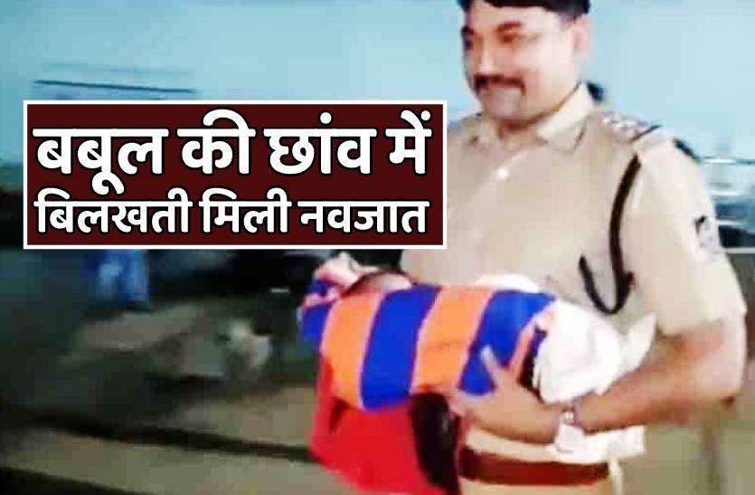 bhind.jpg बबूल की छांव में बिलखती मिली दो दिन की नवजात, पुलिस को मां की तलाश