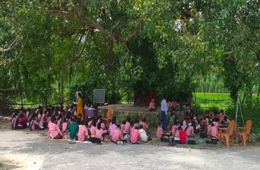 पीपल के पेड़ के नीचे क्यों पढ़ रहे इस सरकारी स्कूल के बच्चे, आखिर क्या है जादू? पीपल के पेड़ के नीचे क्यों पढ़ रहे इस सरकारी स्कूल के बच्चे, आखिर क्या है जादू?