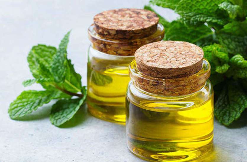 mentha_oil_rate_today.jpg Mentha Oil Rate Mentha Oil Price : डिमांड बढ़ने से इस हफ्ते और बढ़ सकते हैं मेंथा ऑयल के दाम, जानें- आज का Mint Oil Price